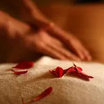 فندق Aria